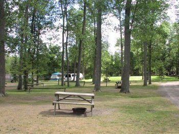 Jell E Bean Campground And Trailers Otel Wasaga Beach Dış mekan fotoğraf